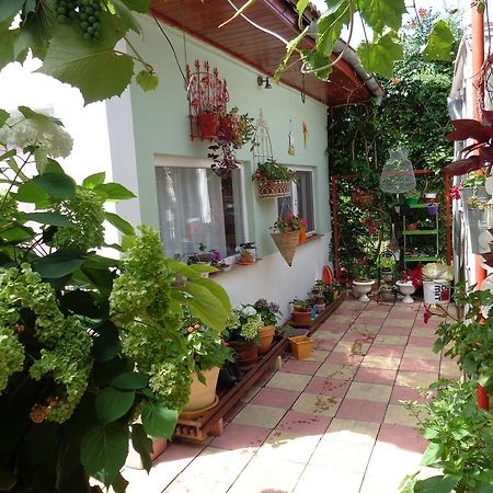 Casa Munteanu Apartamento Eforie Nord Exterior foto